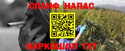 spice Пушкино