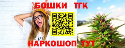 индика Пугачёв