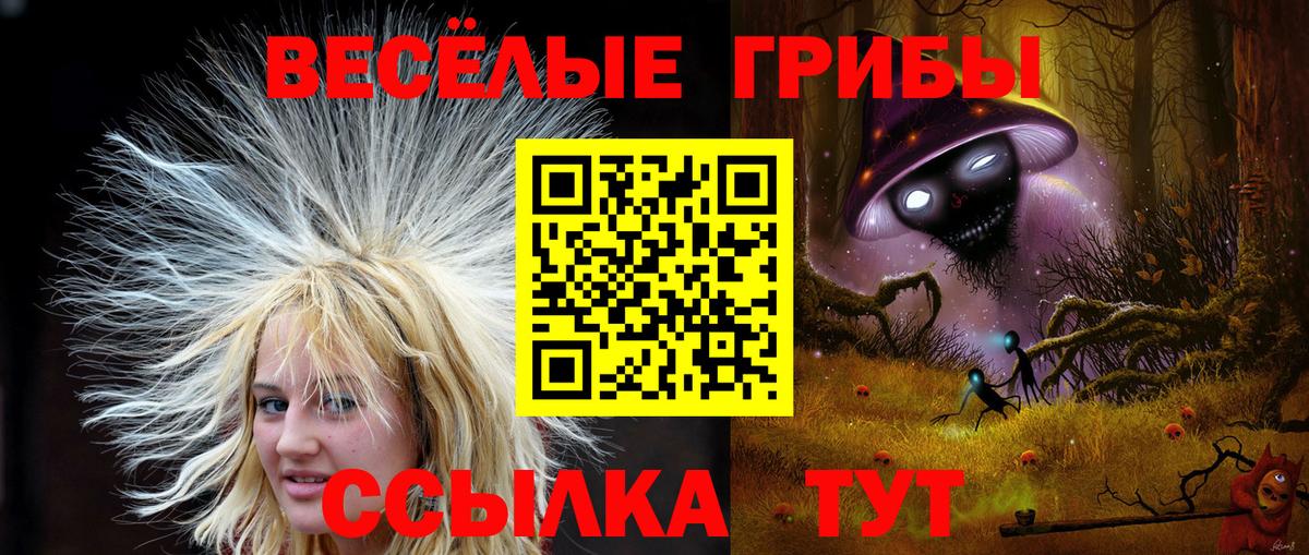 Псилоцибиновые грибы MAGIC MUSHROOMS Барабинск