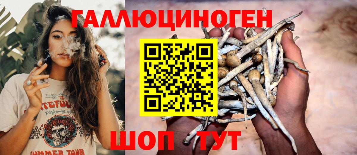 Галлюциногенные грибы MAGIC MUSHROOMS  Вход с VPN  сколько стоит  Барабинск 