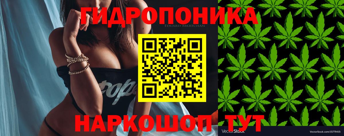 Бошки Шишки индика Барабинск